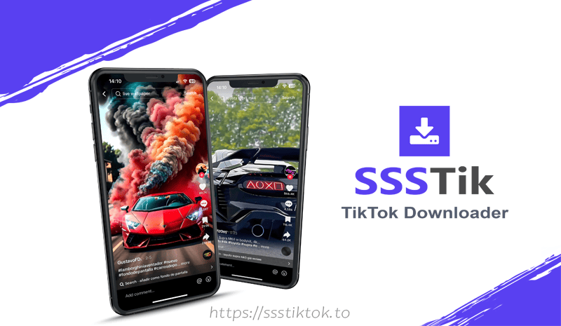 SSSTikTok - TikTok Video Downloader